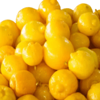 Citron confits